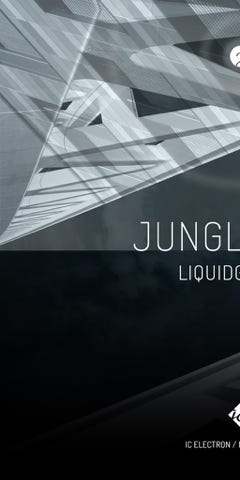 CD Cover: LIQUIDGROOVE ( JUNGLETUNE ) / Music album remix