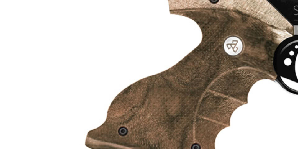 Pistol: SKULL P-7 / High power and precision air gun pistol