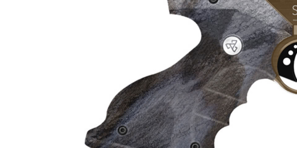 Pistol: SKULL P-7 HEER / High power and precision air gun pistol