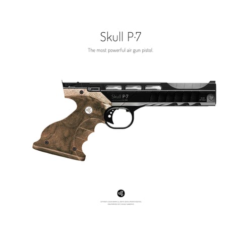 Pistol: SKULL P-7 / High power and precision air gun pistol