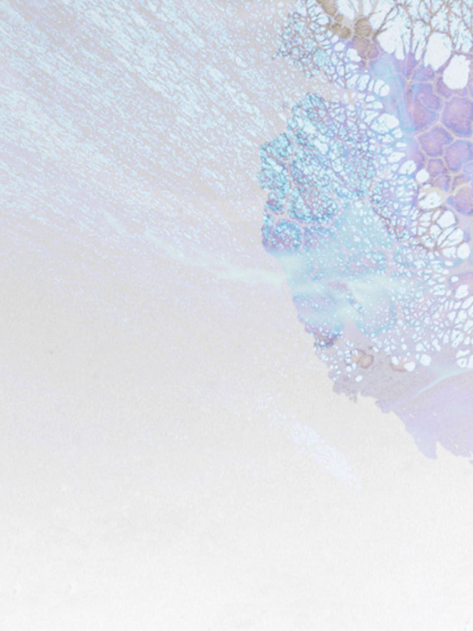 Cover: Stereo NAUTICUM ( HIDDEN FREE QUENCY ) / Triple music album Stereo