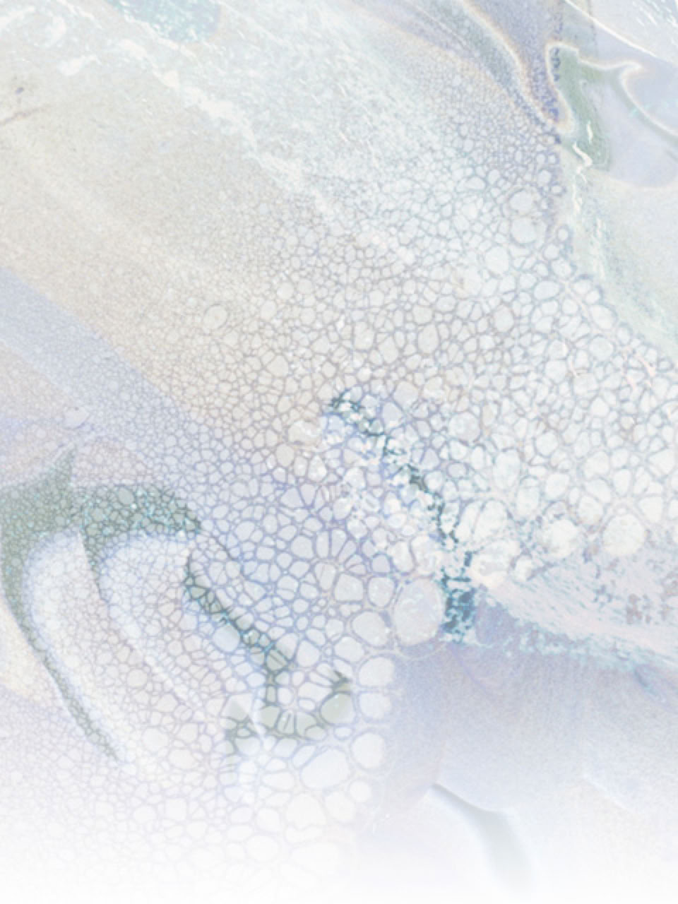 Cover: STEREO NAUTICUM ( MACHTEN ) / Triple music album