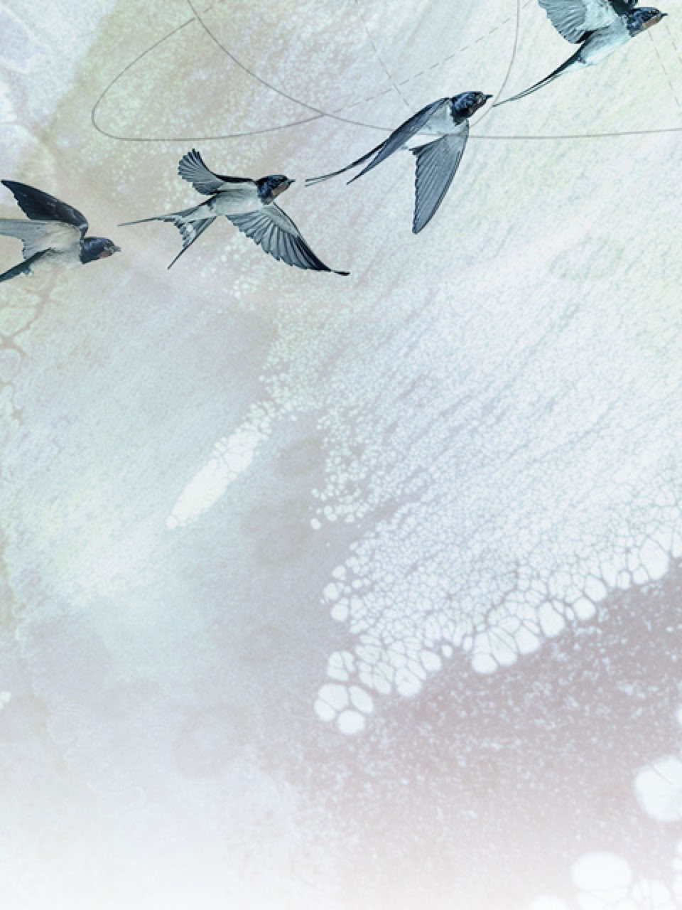 Cover: STEREO NAUTICUM ( TAKEOFF ) / Triple music album