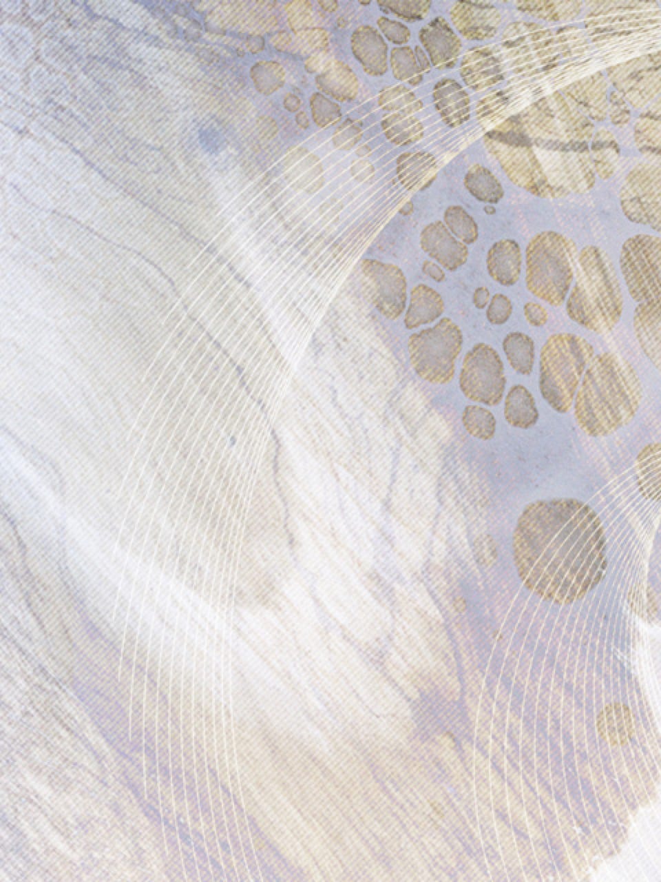 Limited: SOUND SCAPES ( LIQUIDAIR ) Cover: SOUND SCAPES ( LIQUIDAIR ) / Limited music album