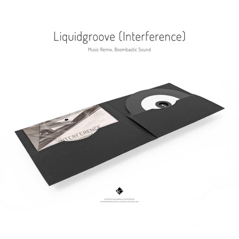 Music CD: LIQUIDGROOVE ( INTERFERENCE ) / Electronic music remix slbum