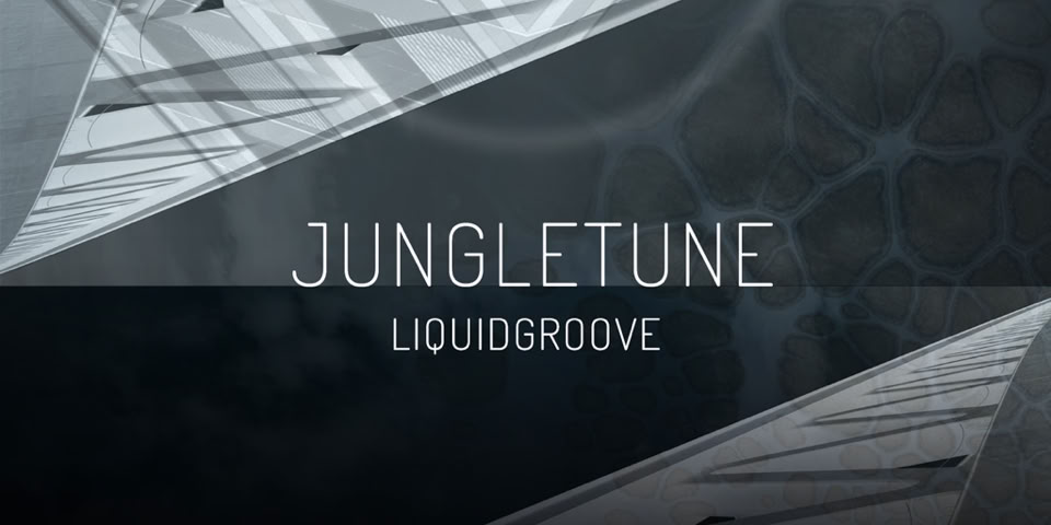 CD Cover: LIQUIDGROOVE ( JUNGLETUNE ) / Music album remix