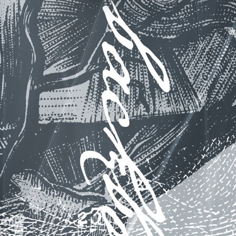 Skateboard: 7" TRIQUEE 45 / Backbones street culture