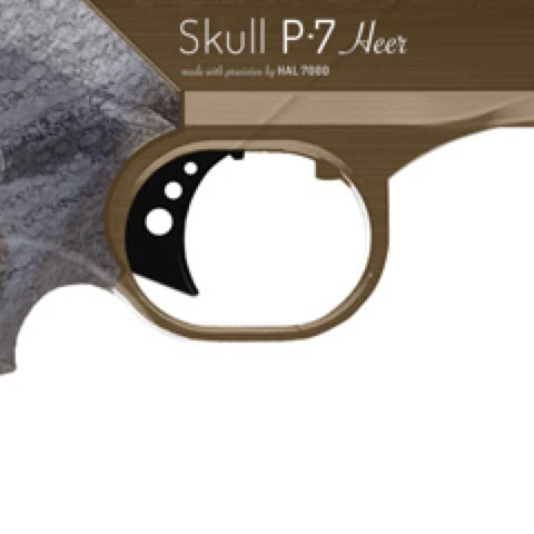 Pistol: SKULL P-7 HEER / High power and precision air gun pistol