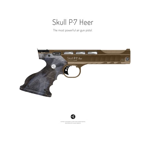 Pistol: SKULL P-7 HEER / High power and precision air gun pistol