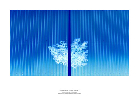 Calendar: URBAN CONTRASTS / April Cover Page