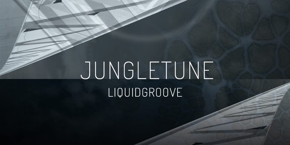 CD Cover: LIQUIDGROOVE ( JUNGLETUNE ) / Music album remix
