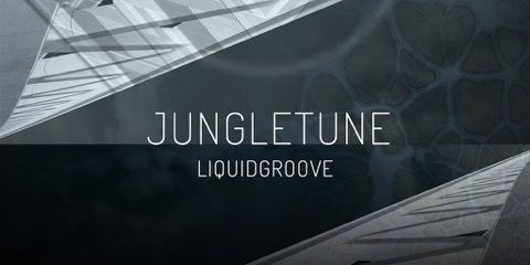 CD Cover: LIQUIDGROOVE ( JUNGLETUNE ) / Remix music album