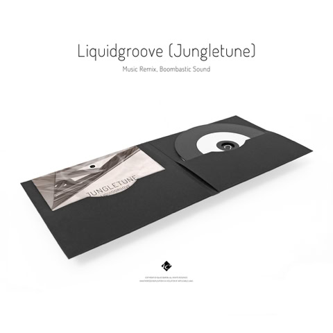 Music CD: LIQUIDGROOVE ( JUNGLETUNE ) / Electronic music remix slbum